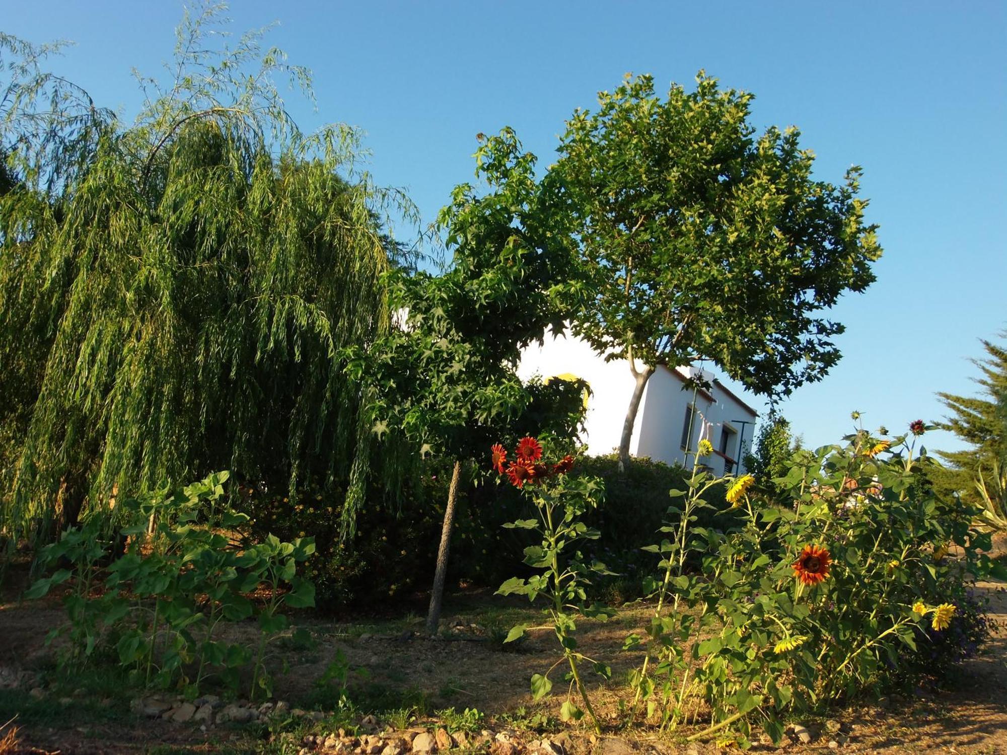 Maison d'hôtes Ninho Da Poupa à Serpa Extérieur photo